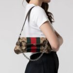 Gucci Small Horsebit Chain Shoulder Bag Beige And Brown 27Cm - Image 7