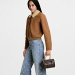 Louis Vuitton Speedy Bandouliere 20 Monogram Canvas Brown 20Cm M26314 - Image 9