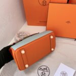 Hermes Birkin Mini Gold Hardware Epsom Multicolor 20Cm - Image 5