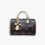 Louis Vuitton X Takashi Murakami Monogram Speedy 30 Cerise 30Cm