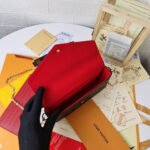 Louis Vuitton Félicie Pochette Damier Ebène Canvas 21Cm N40492 - Image 5