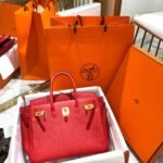 Hermes Birkin 25 Bag Togo Rouge Vermillon 25cm - Image 2