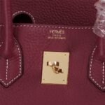 Hermes Birkin Togo Handbag Rouge 25cm - Image 4