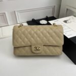 Chanel Classic Double Flap Bag Beige 25cm - Image 3