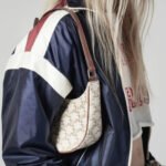 Celine Ava Bag In Triomphe Canvas White 24Cm 193952BZJ01BC - Image 4