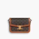 Celine Classique Triomphe Bag in Triomphe Canvas 22cm 191242BZ404LU