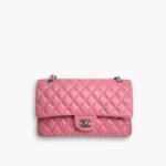 Chanel Classic Double Flap Bag Pink 25cm A58600 Y04059 NW780
