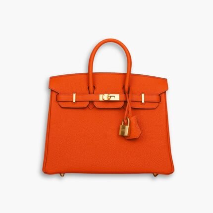 Hermes Birkin 25 Bag Togo Flame Orange 25cm