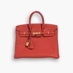 Hermes Birkin 25 Bag Togo Rouge Vermillon 25cm