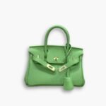Hermès Birkin B25 Togo Grenat Green 20cm