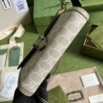 Gucci Dionysus Chain Wallet Bag Beige and White 20 cm 401231 UULBN 9683 - Image 4