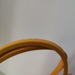 Goyard Saint Louis PM Bag Yellow 45Cm - Image 5