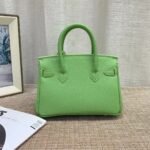 Hermès Birkin B25 Togo Grenat Green 20cm - Image 7
