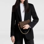 Louis Vuitton Pochette Accessoires 23.5cm M82766 - Image 8