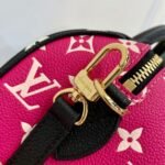 Louis Vuitton Speedy Bandouliere 20.5cm M46088 - Image 5