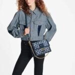 Louis Vuitton Dauphine MM Denim Blue 25cm M59631 - Image 8