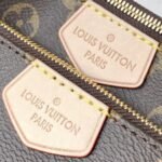 Louis Vuitton Multi Pochette Accessoires 24cm M44813 - Image 5
