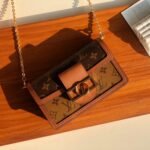 Louis Vuitton Dauphine Chain Wallet 19cm M68746 - Image 8