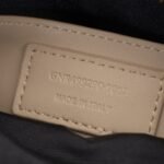 Saint Laurent Lou Camera Bag Dark Beige 23Cm - Image 6