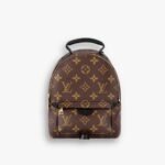 Louis Vuitton Monogram Palm Springs Mini Backpack Brown 22cm M44873